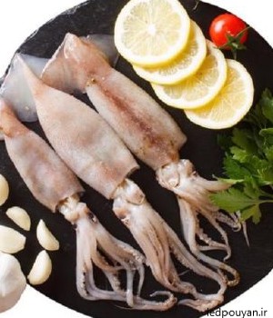 خواص گوشت ماهی مرکب